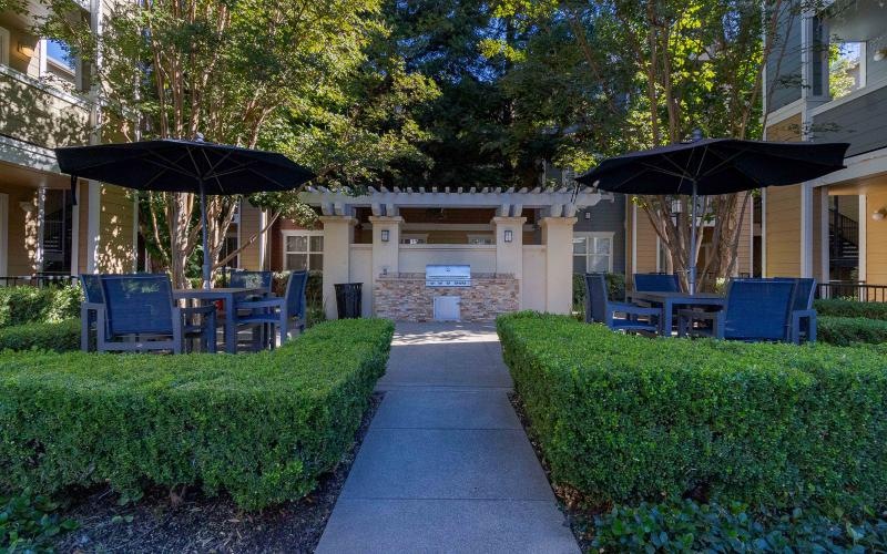 a path with chairs and umbrellas